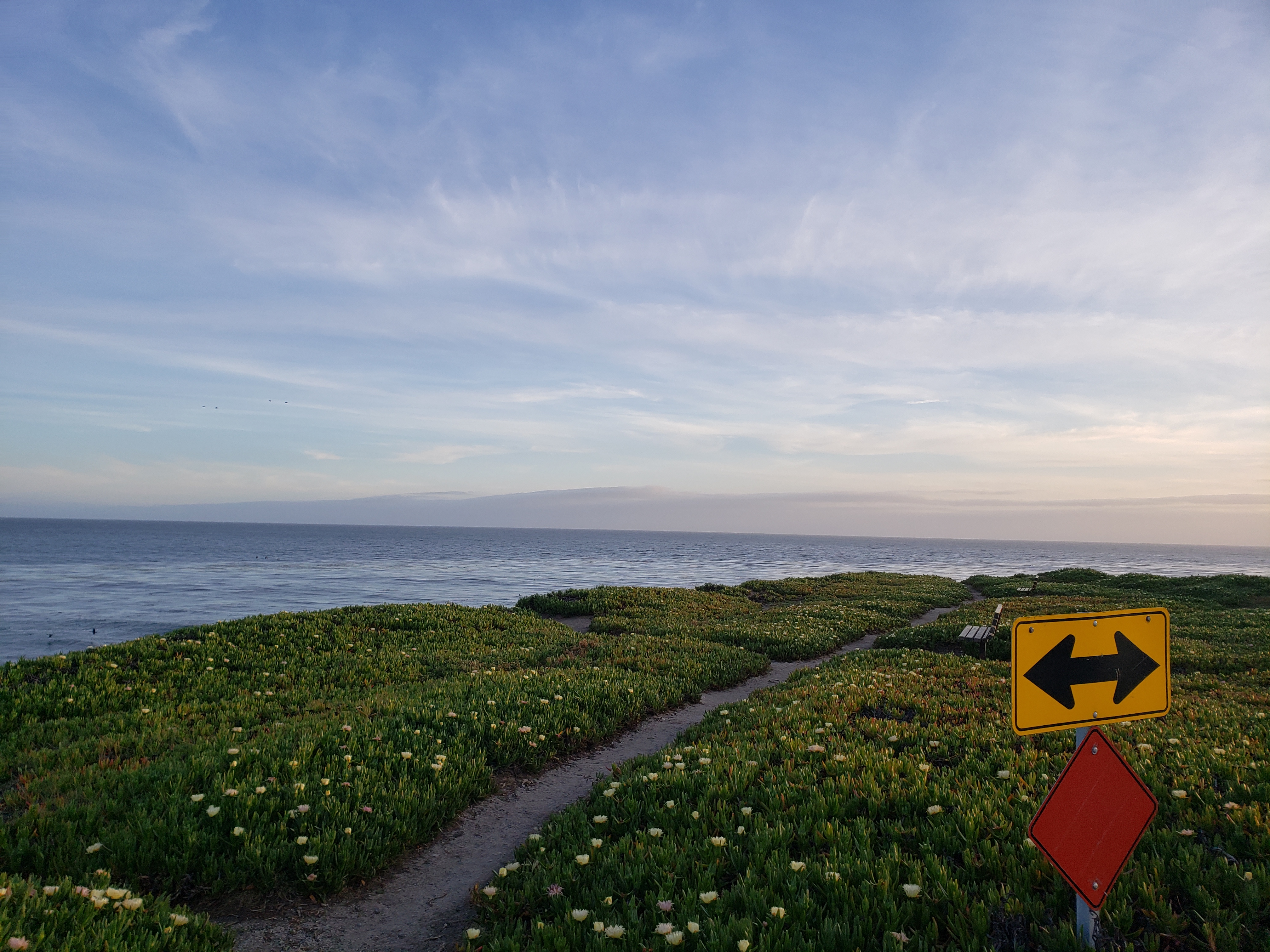 A picture of  some grass and shrubbery at the edge of a cliff during cloudy twilight hours.  There's a yellow sign in the foreground showing two arrows (each pointing opposite directions - one pointing left and the oher pointing right) as this sign is situated atop a red hexagon sign on a wooden pole.